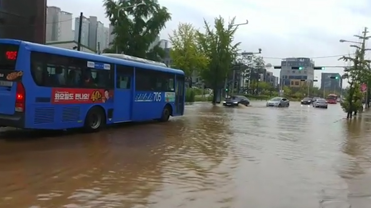대전 침수 피해 상황
