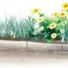 thumbnail - 삼각지의 배호
