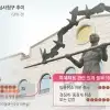 thumbnail - 선관위 ‘빛바랜 환골탈태’… 특혜채용 19명 징계 불복