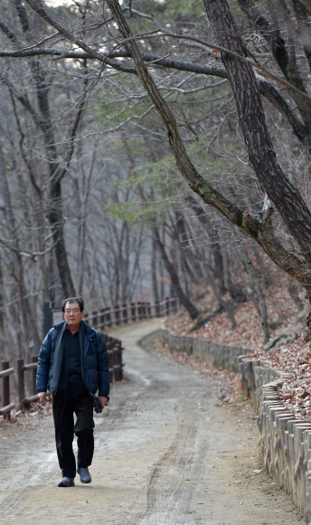 경북 청송군 주왕산 길을 걷고 있는 ‘길 위의 작가’ 김주영. 단편소설 한 편을 쓰는 데도 답사를 서너 차례 다니는 그는 객주 완결편을 쓰면서 울진~봉화~청송을 한 달에도 서너 번씩 내려가 걷고 또 걷는다. 손형준 기자 boltagoo@seoul.co.kr