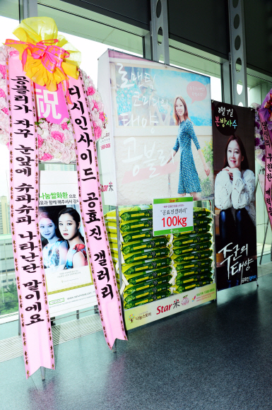 배우 공효진