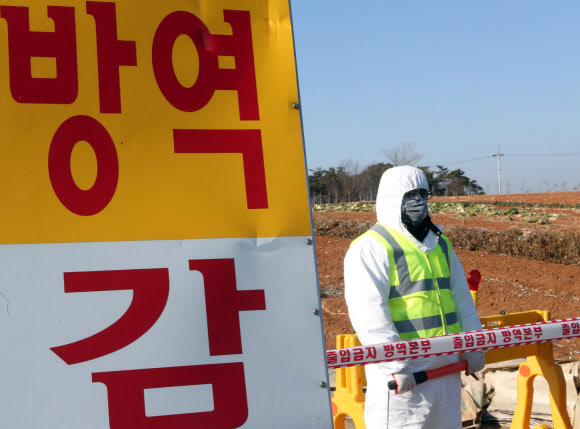 전북 부안군 줄포면에서 고병원성 조류인플루엔자(AI) 발생 의심 신고가 접수된 가운데 19일 방역 관계자가 해당 농장 출입을 통제하고 있다. 연합뉴스