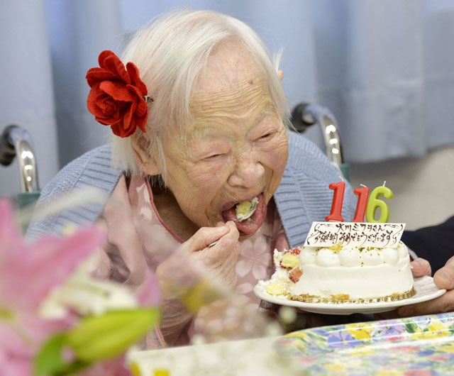 지난 5일 세계 최장수 여성 노인으로 기네스북에 오른 일본인 오카와 미사오가 116번째 생일을 맞아 케이크를 먹고 있다. 오사카=AP/뉴시스