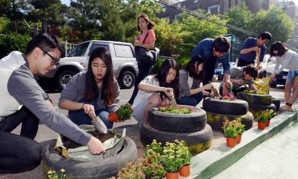 가톨릭대 ‘농락’ 동아리 학생들이 지난달 28일 경기 부천시 소사구 역곡동에서 게릴라가드닝 활동을 벌이고 있다. 이종원 선임기자 jongwon@seoul.co.kr