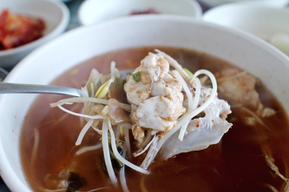겨울 동해의 별미 곰치국. 김남경