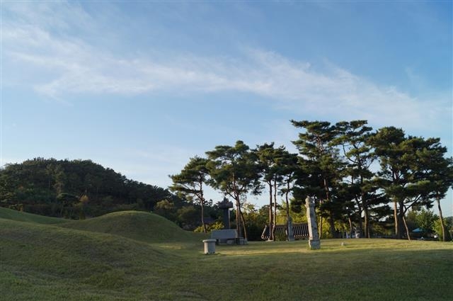 고택 옆에 자리잡은 추사의 무덤.