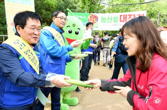 농협유통의 김병문(왼쪽부터) 대표와 정대훈 노조위원장 등 노사 관계자들이 농협유통 창사 21주년과 근로자의 날이 겹친 1일 서울 서초구 원지동 청계산 입구에서 등산객들에게 오이를 나눠 주고 있다. 작황이 좋아 서울 가락시장의 오이 평균 거래가(50개)는 지난 3월 1만 5916~2만 5009원에서 지난달 8818~1만 3371원으로 절반가량 떨어졌다. 2일 ‘오이데이’를 맞아 전국적인 오이 소비 촉진 운동이 열릴 예정이다. 농협유통 제공