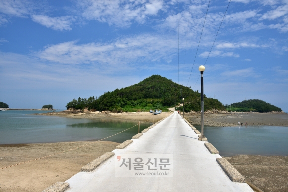 벌금리와 작은 다리로 연결된 정금도.