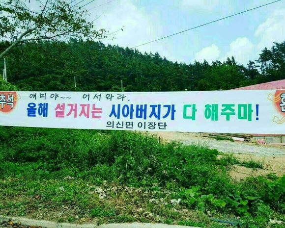 애미야 어서와라