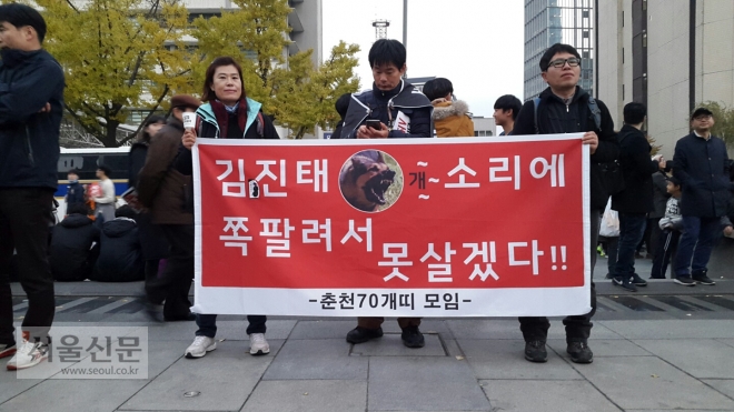 12일 오후 서울에서 박근혜 대통령 퇴진을 촉구하는 집회가 열려 많은 시민들이 참가했다.
