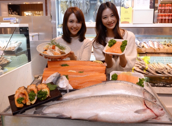 동해 최북단에서 양식한 연어  최해국 선임기자 seaworld@seoul.co.kr