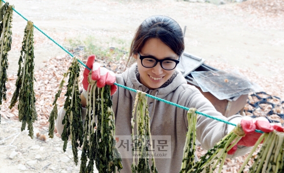 이정호 대표의 부인 정유나씨가 무청을 말리고 있다.