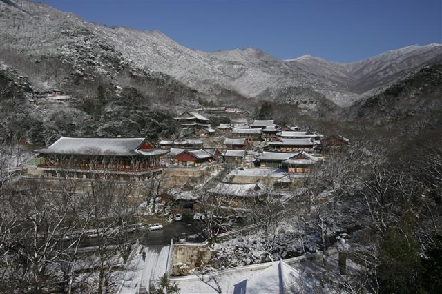 많은 사찰을 거느린 지리산에서 가장 큰 화엄사. 동양 최대 목조건물 각황전과 석등 4사자 3층 석탑 등 대표 국보 문화재를 보유하고 있다. 구례군 제공