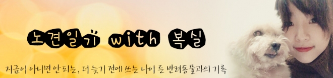 김유민의 노견일기 - 늙고 아픈 동물이 버림받지 않기를