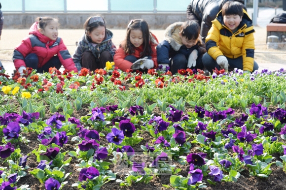 2일 서울 성동구 왕십리광장에서 구립왕십리어린이집 어린이들이 꽃을 심고 있다. 사계절 꽃길조성사업의 일환인 이번 왕십리광장 봄꽃으로는 팬지, 비올라, 튤립 등 5종 20,000여 본의 다양한 꽃을 심는다. 이언탁기자 utl@seoul.co.kr