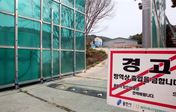 AI 견뎠더니 가뭄에 무더위…양계장들 ’비상’