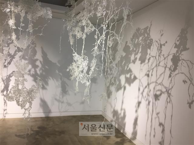 하늘에서 흘러내린 눈물처럼 보이는 작품. 벽에 비친 그림자가 마치 먹의 농담을 이용해 그린 수묵화처럼 보인다.