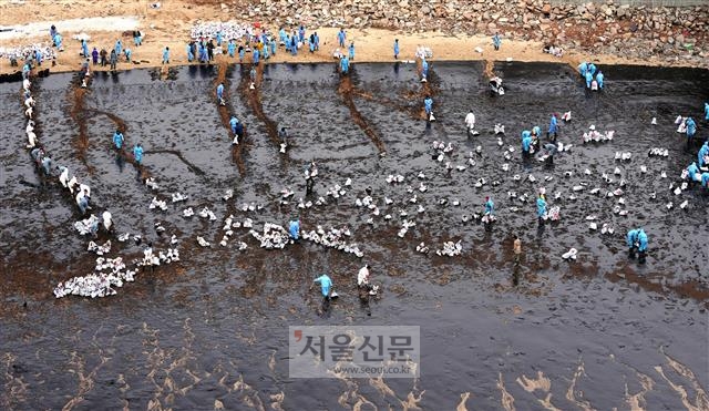 10년 전인 2007년 12월 충남 태안 앞바다에서 발생한 국내 최대 기름 유출 사고로 시커멓게 변해버린 바닷가를 123만명의 자원봉사자들이 천으로 일일이 바위를 닦고 모래에 뒤섞인 기름을 삽으로 퍼내면서 지금의 깨끗한 푸른 바다로 만들었다. 서울신문 DB