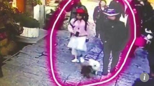 중국에서 실종된 푸들의 모습이 찍힌 CCTV [SCMP 홈페이지 화면 캡처]연합뉴스