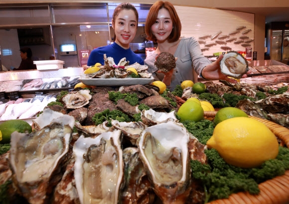 봄에 더 맛있는 벚굴 드세요 