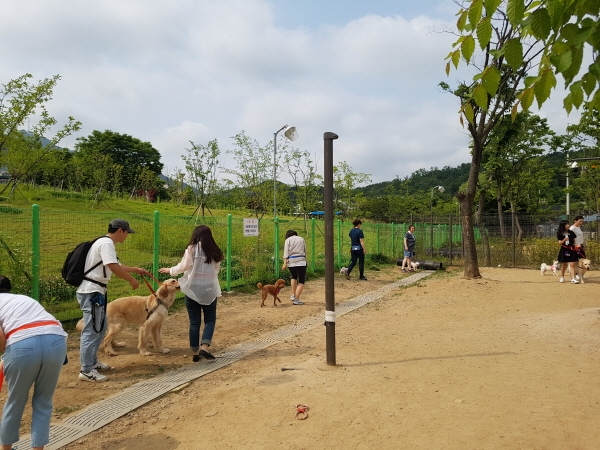 반려동물을 돌봐주는 직업인 펫시터(petsitter)가 미래 유망한 직업으로 손꼽히는 가운데, 관련 전문 양성과정이 개설돼 눈길을 끈다. 관악여성인력개발센터가 현재 ‘더불어 함께, 펫시터 양성사업’의 일환으로 펫시터 양성과정의 교육생을 모집 중이다.