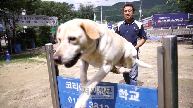 경찰견과 훈련하고 있는 최승열 소장 경찰견과 훈련하고 있는 최승열 소장