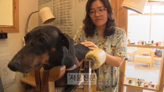한방수의 동물병원 강무숙 원장이 자신이 직접 만들고 특허출원을 마친 반려견 전용 침틀 위에서 반려견의 허리디스크를 침으로 치료하고 있는 모습 한방수의 동물병원 강무숙 원장이 자신이 직접 만들고 특허출원을 마친 반려견 전용 침틀 위에서 반려견의 허리디스크를 침으로 치료하고 있는 모습