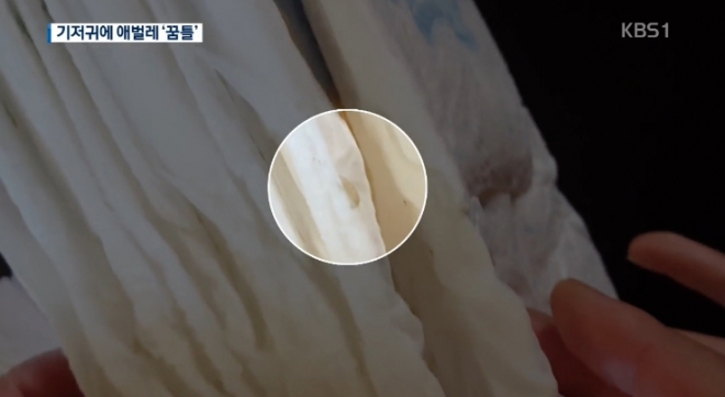 아기 기저귀에서 꿈틀거리는 애벌레. KBS캡처