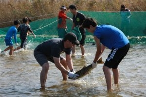 18일부터 21일까지 강원도 양양 남대천에서 연어축제가 열려 참가자들이 즐거운 한때를 보내고 있다. 양양군 제공