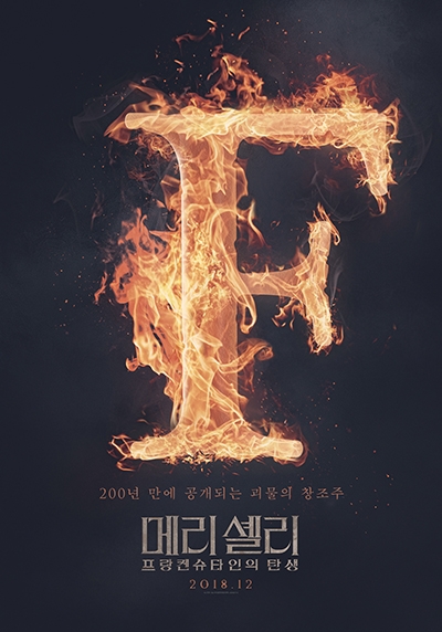 영화 ‘메리 셸리: 프랑켄슈타인의 탄생’ 포스터. 영화 ‘메리 셸리: 프랑켄슈타인의 탄생’ 포스터.