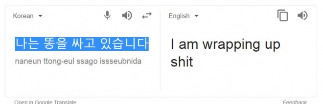 구글 번역기의 오역 사례.