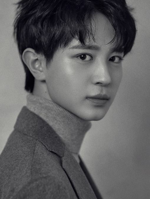 배우 정유안