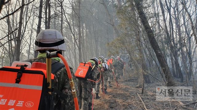 육군 23시단 소속 장병들이 강원도 화재 발생 이틀째인 5일 강릉시 망운산을 돌며 잔불 진압 작업을 하고 있다. 김정화 기자 clean@seoul.co.kr