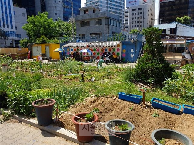 공유지 안에 가꿔진 텃밭의 모습.