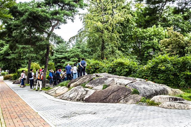 제13호 태풍 ‘링링’의 북상으로 서울 동대문구 청량리동 홍릉수목원이 일시 폐장하는 바람에 수목원 안으로 입장할 수 없게 된 참가자들이 수목원담 밖에서 해설을 듣고 있다. 수목원에는 문배나무 기준 표본목을 비롯해 두충나무의 아버지나무와 어머니나무 등 희귀식물이 보호되고 있다.