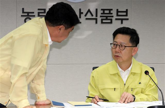 ‘아프리카돼지열병, 확산하나?’