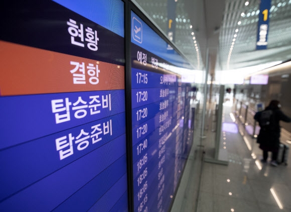 코로나19 때문에 터키행 결항