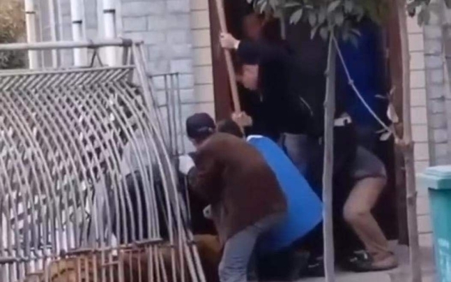 호랑이 제압하는 사람들. 신경보 보도 캡처