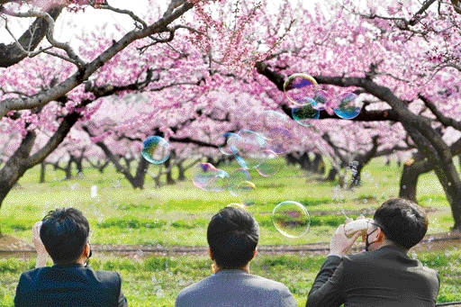 복사꽃에 취한 마음, 이미 도원결의