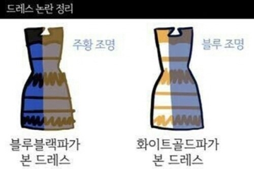 2015년 전 세계를 ‘혼란’에 빠뜨린 드레스 컬러 논란. 온라인 커뮤니티 캡처
