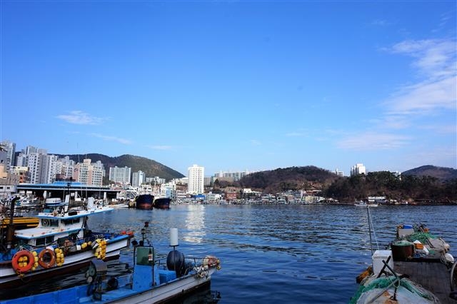 부산 다대포항 전경.