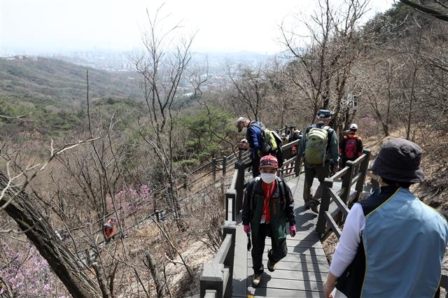 북악산 전면 개방 첫날… 빽빽한 봄 산행길