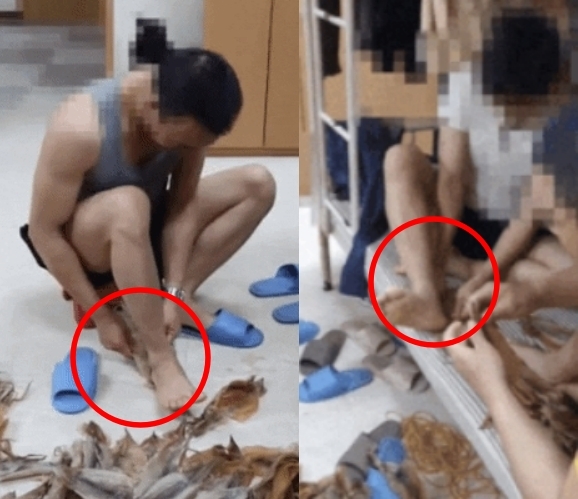 틱톡 캡처