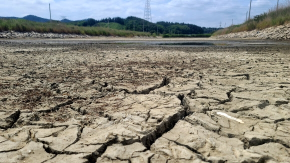 지난 2일 계속된 봄 가뭄으로 충남 태안군 이원면 이원 간척지 수로의 물이 말라 바닥이 갈라져 있다. 최근 6개월 강수량이 평년의 절반 수준에 그칠 정도로 가물어 농작물 피해가 심각한 실정이다. 이제 본격적인 여름이 가까워지면 가뭄 뒤의 폭염과 폭우, 태풍이 안전을 위협할 수 있어 각별한 주의가 필요하다. 태안 연합뉴스