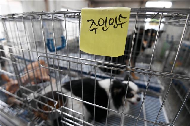 모든 유기동물이 가족 되찾도록… 제도·예산 절실