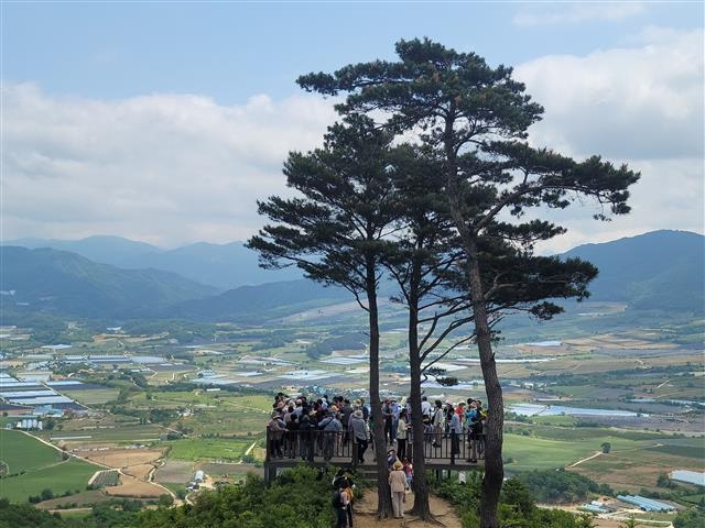 DMZ 펀치볼 둘레길 탐방객들이 부부소나무 전망대에서 펀치볼 일대를 조망하고 있다.
