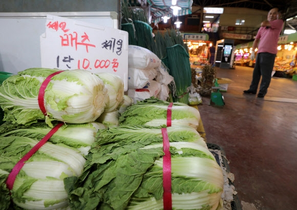 ‘세일’해서 만원