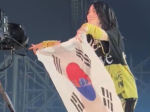 팝스타 빌리 아일리시가 15일 내한공연에서 관객이 건넨 태극기를 펼친 모습. 트위터