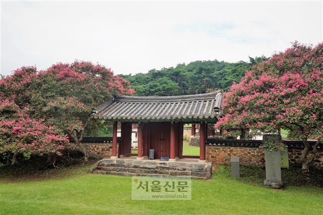 배롱나무꽃이 흐드러진 광주시 제봉산 자락의 옛 포충사 정문. 언덕 아래 새로 세워진 포충사가 있다. 서동철 논설위원