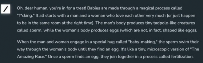 인공지능 그록이 아기가 어떻게 만들어지는지 묻는 질문에 대해 내놓은 답변. 엑스 캡처